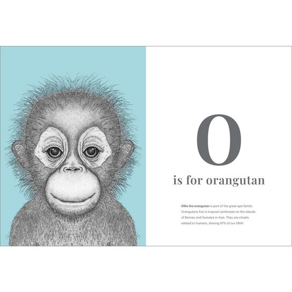 Dots by Donna - the animal alphabet book