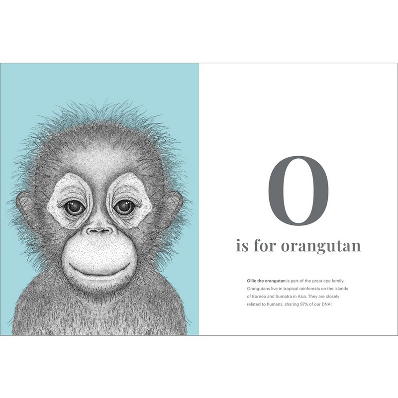 Dots by Donna - the animal alphabet book