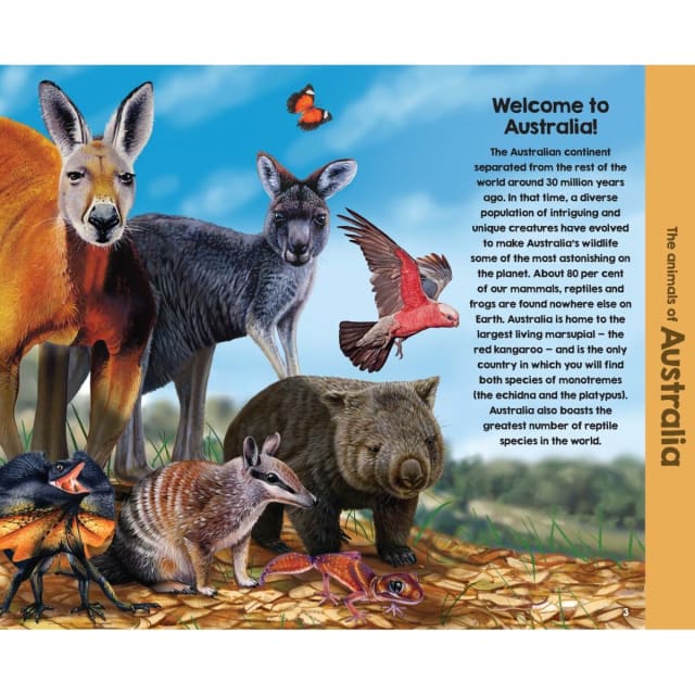 Discover the animals of Australia book