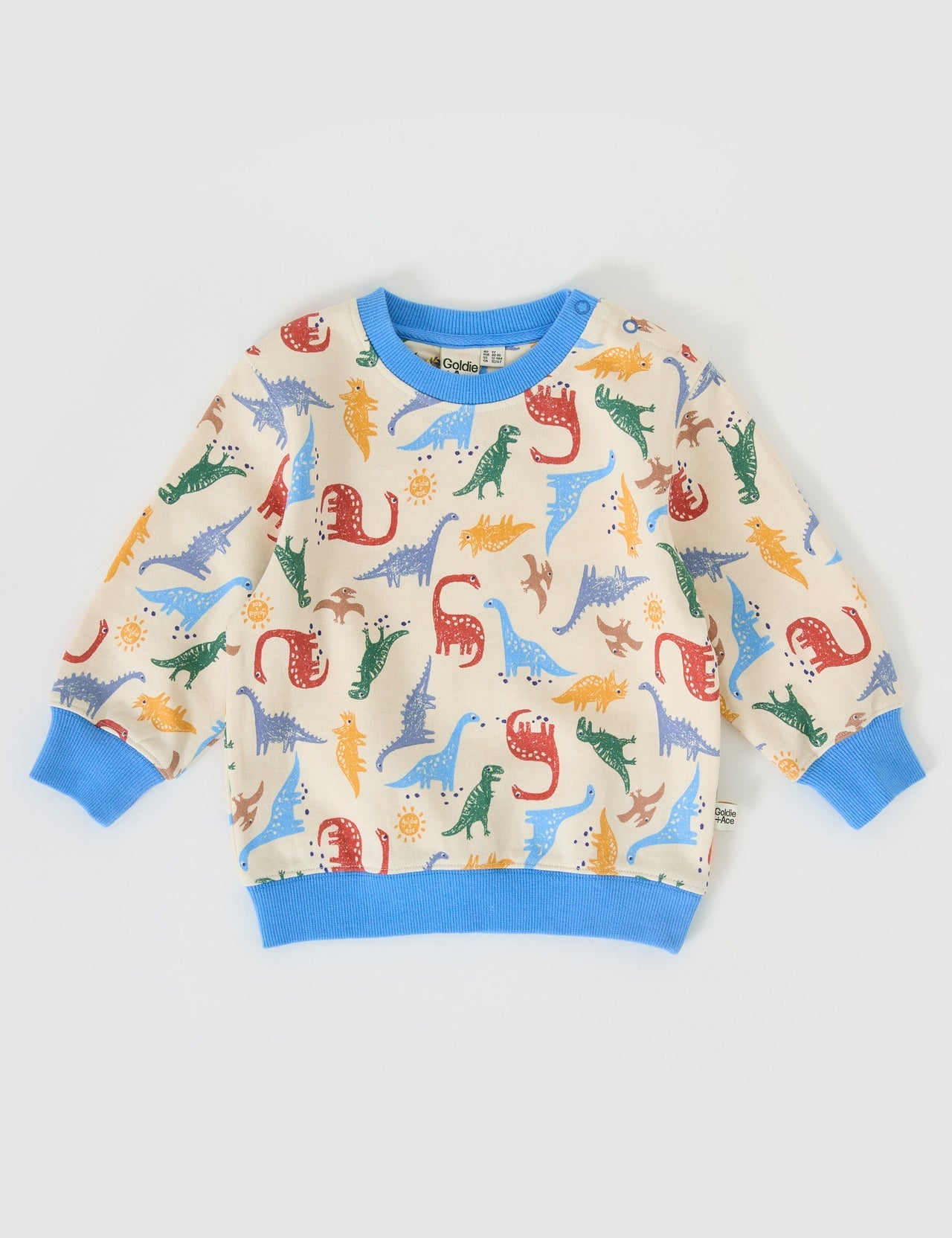 Goldie & Ace Dino-Mite Relaxed Terry Sweater in Multi