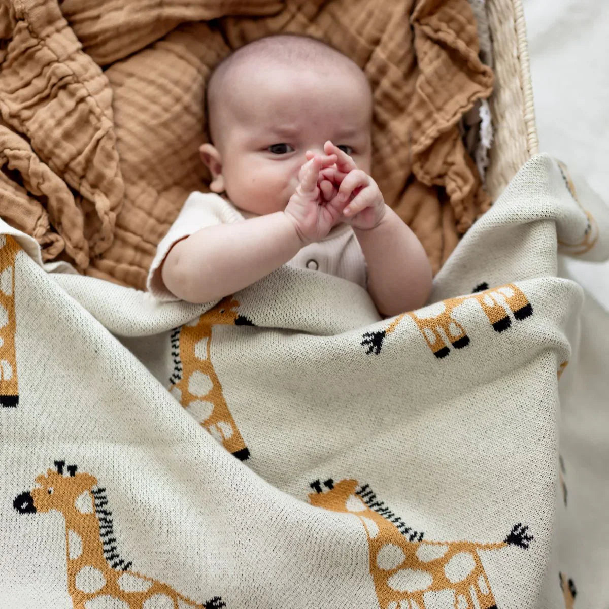 Curated Baby Gift Hamper - Jungle