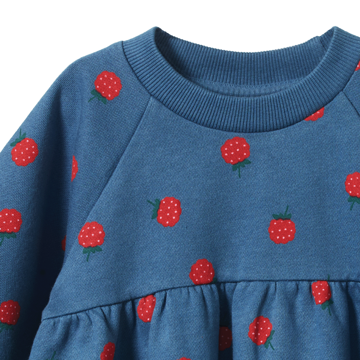 Nature Baby Ines Dress in Raspberry Blue Print