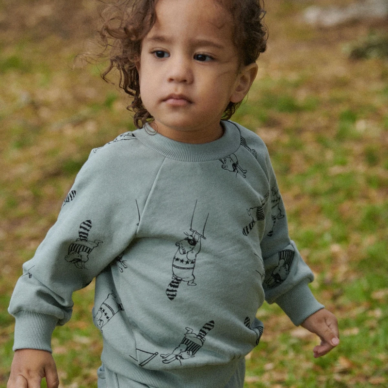 Nature Baby Emerson sweater Raccoon Rhapsody Print