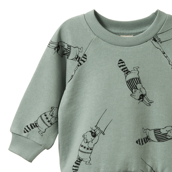Nature Baby Emerson sweater Raccoon Rhapsody Print
