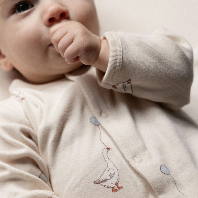 Nature Baby Stretch & Grow suit in Goose lullaby print