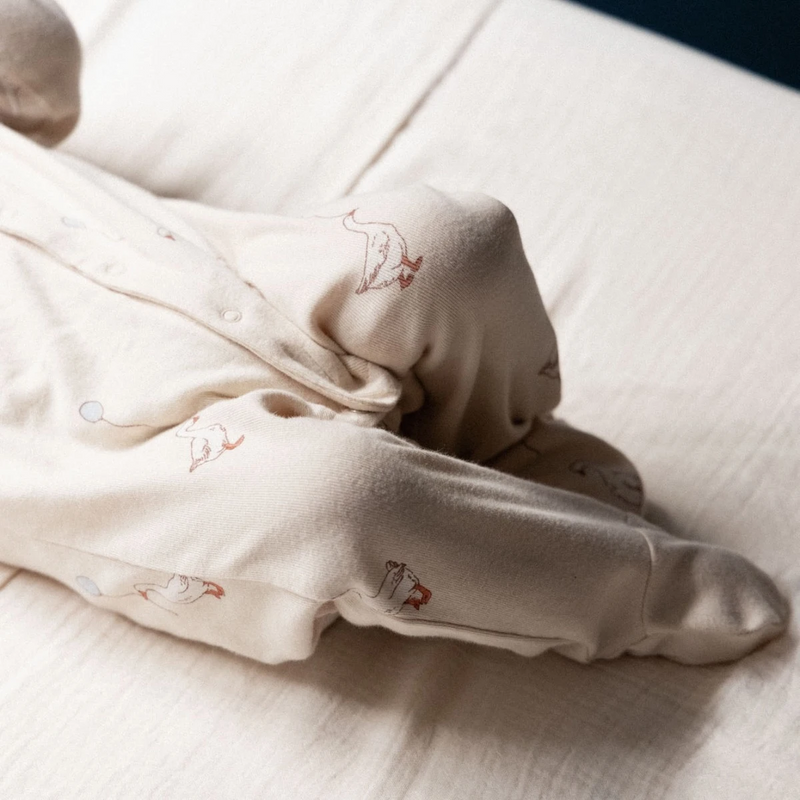 Nature Baby Stretch & Grow suit in Goose lullaby print