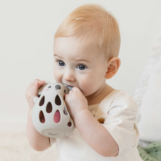Tiger tribe silicone rattle - koala