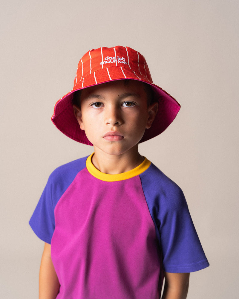 Das Ist Maurice Raglan t-shirt in Purple