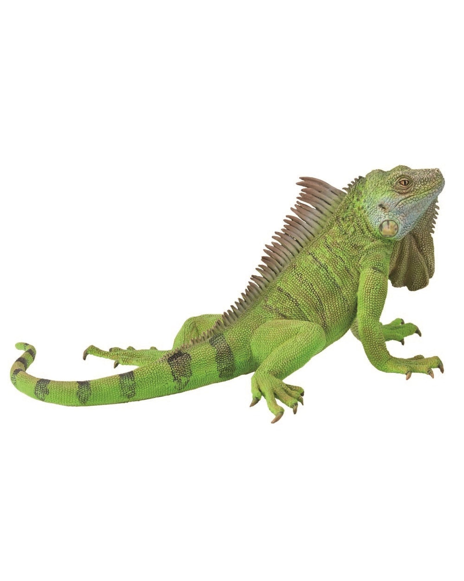 Collecta Iguana (XL)