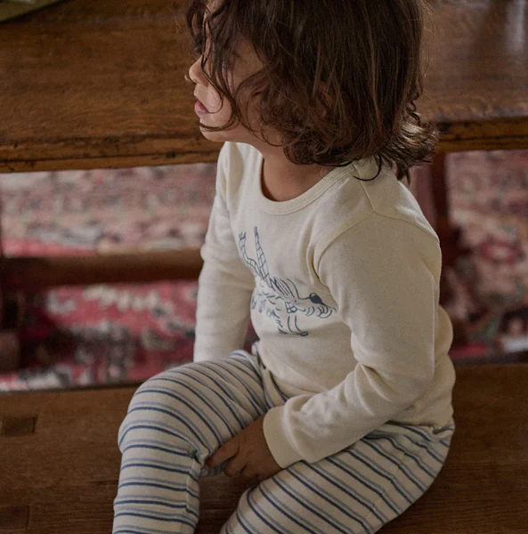 Nature Baby LS Pyjama Set in Franklin Print