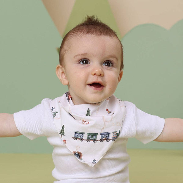 Snuggle Honey Trains Organic Dribble Bib