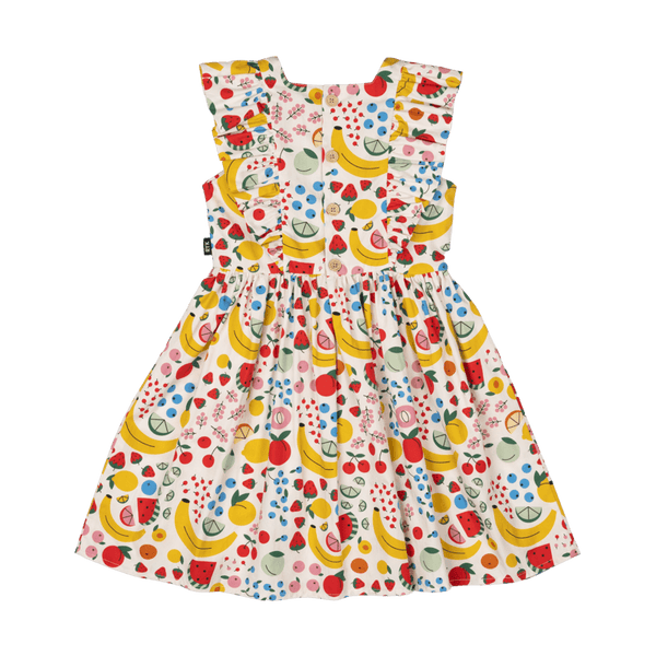 Rock Your Baby  farmers market dress dress in multi colours
