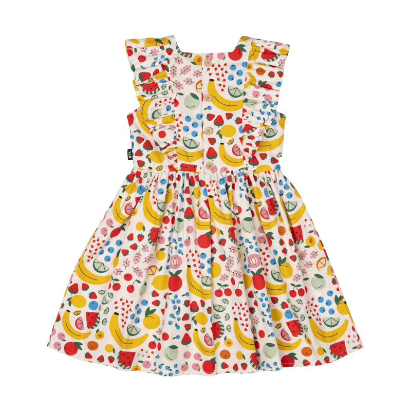 Rock Your Baby  farmers market dress dress in multi colours