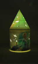 Pink Poppy Disney Frozen 2 Nature is Magical Lantern LED