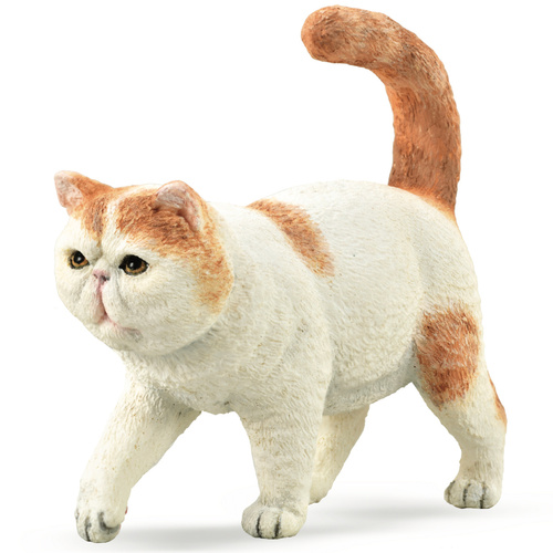 Collecta Cat Exotic Shorthair (S)