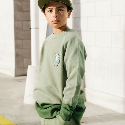 Band of Boys Green Dip Dye Dancing Tiger Raglan Crew in Green
