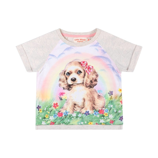 Paper Wings Raglan Cuff T-Shirt Rainbow Puppy