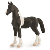 Collecta Barock Pinto Foal (M)