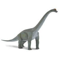 Collecta Brachiosaurus (L)