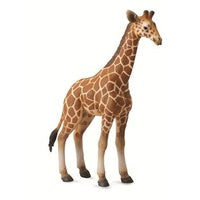 Collecta Reticulated giraffe calf (L)