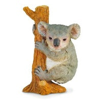 Collecta Koala Climbing (M)