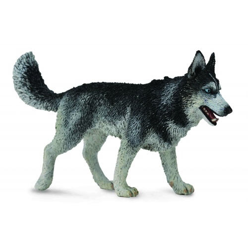 Collecta Siberian Husky (L)