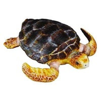 Collecta Loggerhead turtle (M)