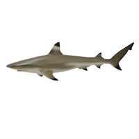 Collecta Black Tip Reef Shark (M)
