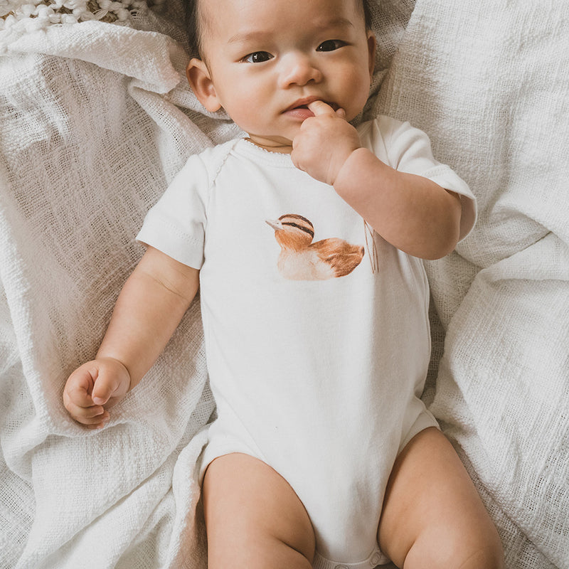 Bebe JesseDuckling bodysuit in cream