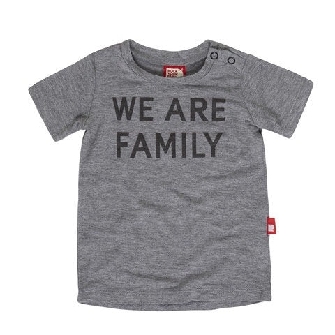 we-are-family-baby-tee-in-grey