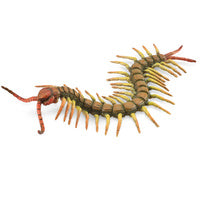 Collecta Centipede (L)