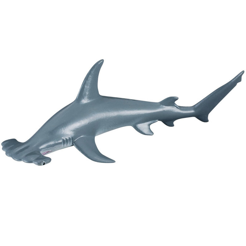 Collecta Scalloped Hammerhead Shark (M)