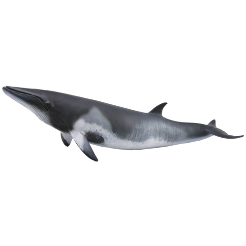 Collecta Minke Whale (XL)