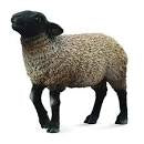 Collecta Suffolk Sheep (M)