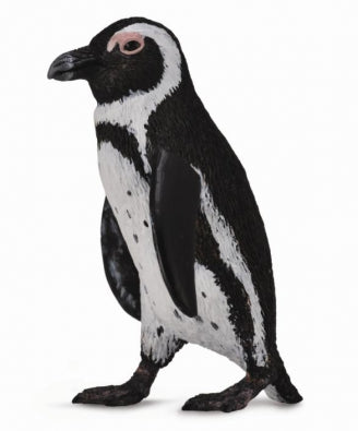 Collecta South African Penguin (S)