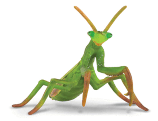 Collecta Praying Mantis (L)