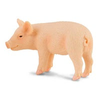 Collecta piglet standing (S)