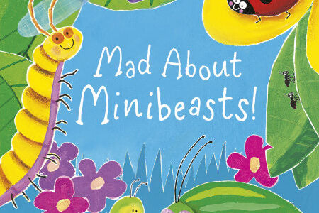 Mad About Minibeasts board book