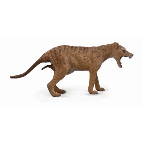 Collecta Thylacine (Tasmanian Tiger)(L)
