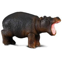 Collecta Hippopotamus Calf (S)