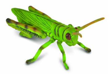 Collecta Grasshopper (M)
