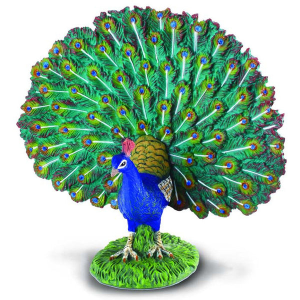 Collecta Peacock (L)