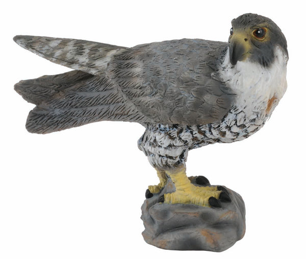 Collecta Peregrine Falcon (S)