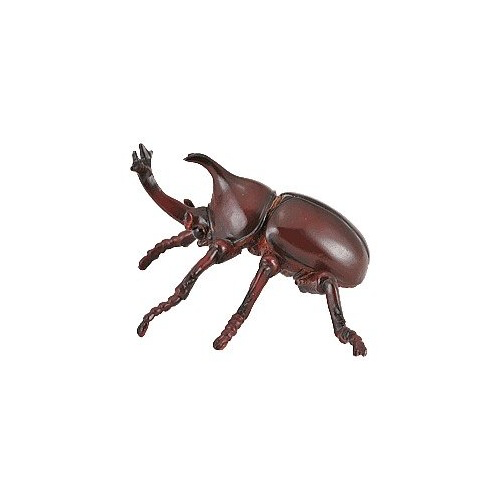 Collecta Rhinoceros Beetle (M)