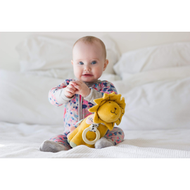 Tikiri Lion Activity Toy