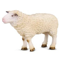 Collecta Sheep (M)