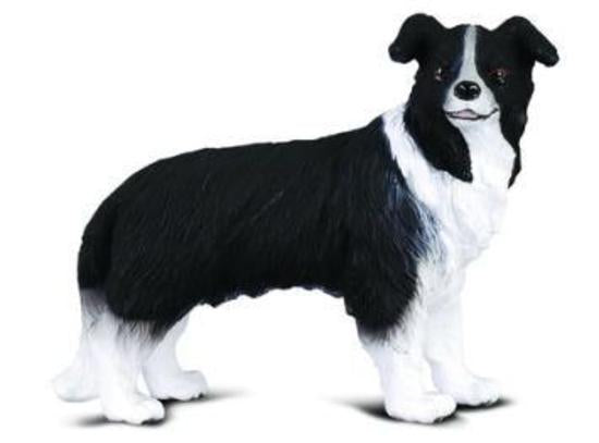 CollectA Collie Mit Grobehaartem Fell – Detailgetreue Hunde-Figur, Phthalatfrei, Für Spielzeug-Sammlungen