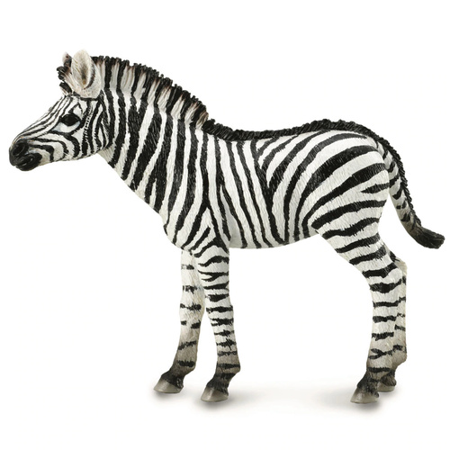 Collecta Zebra Foal (M)