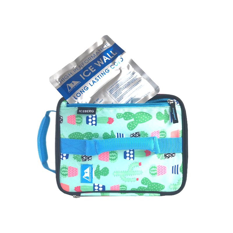 Arctic Zone Expandable Lunch Pack Cactus in Green