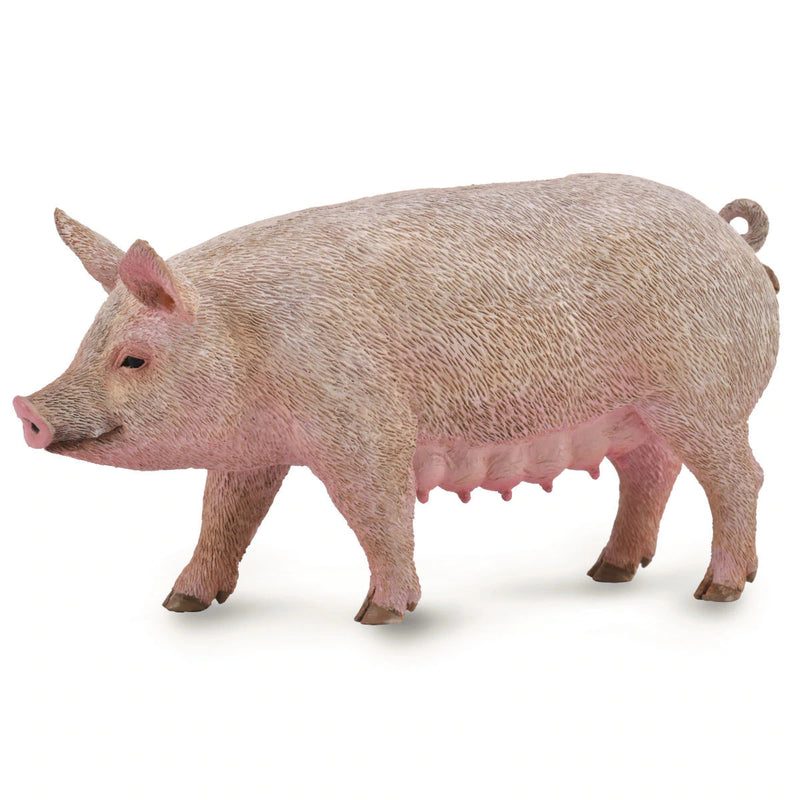 Collecta Pig Sow (M)